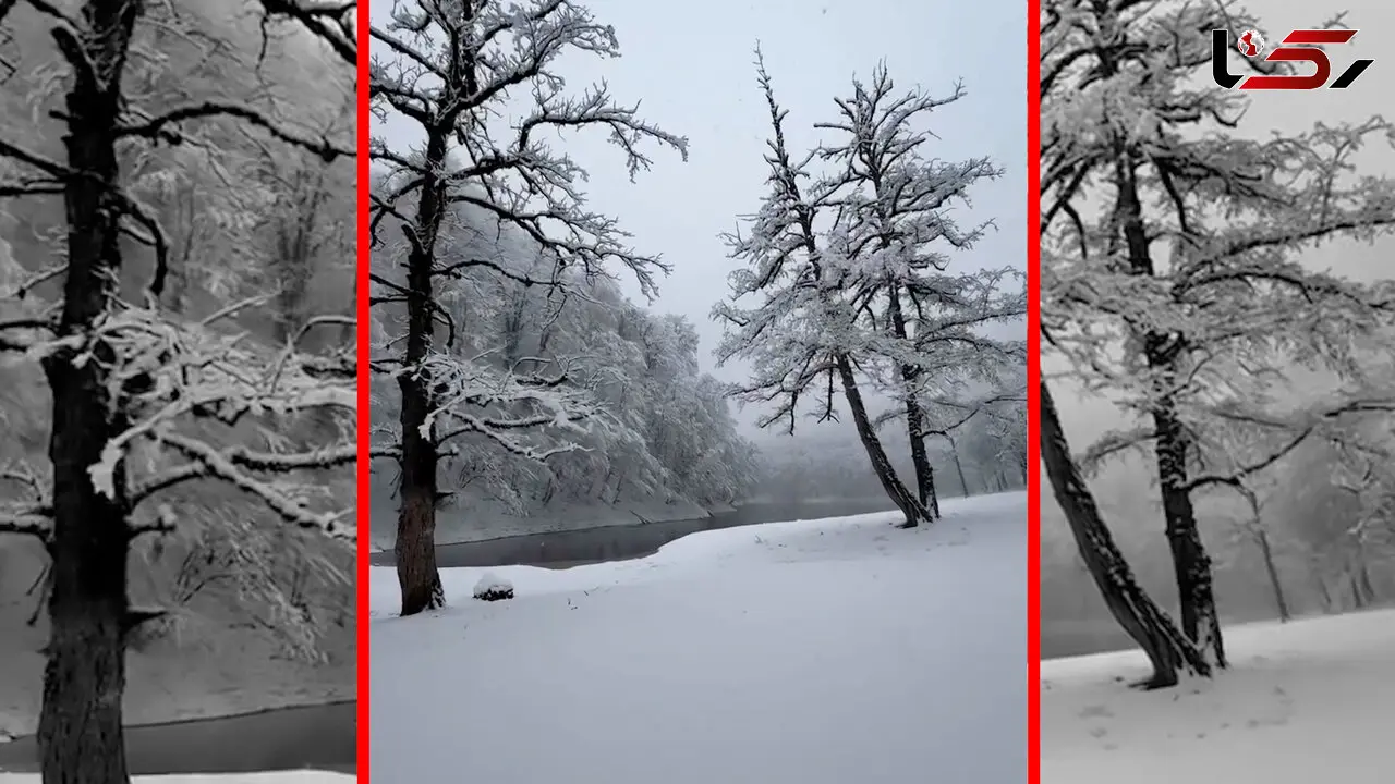 فیلم مناظر زمستانی دریاچه چورت