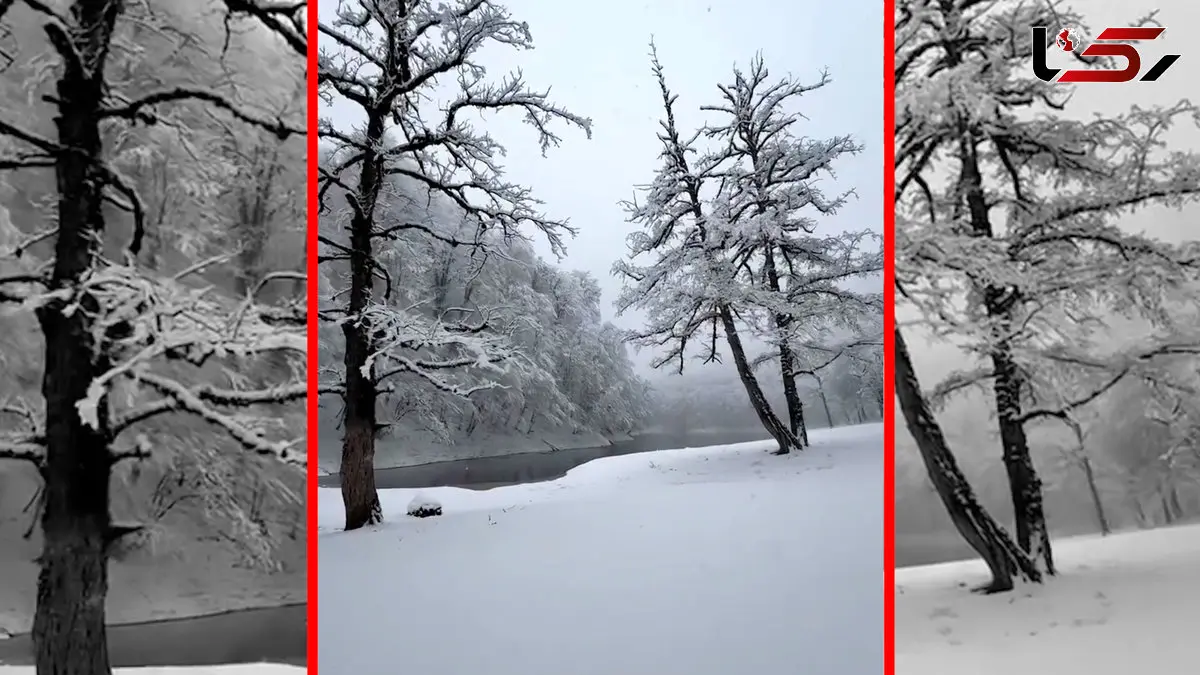 فیلم مناظر زمستانی دریاچه چورت