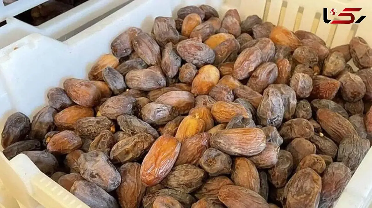 آموزش خشک کردن خرما در خانه به صورت حرفه‌ای / خواص خرما