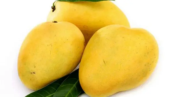 انبه بخور لاغر شو!