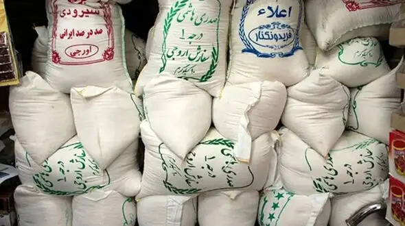 بحران برنج در راه است / هشدار رئیس انجمن واردکنندگان به بانک مرکزی