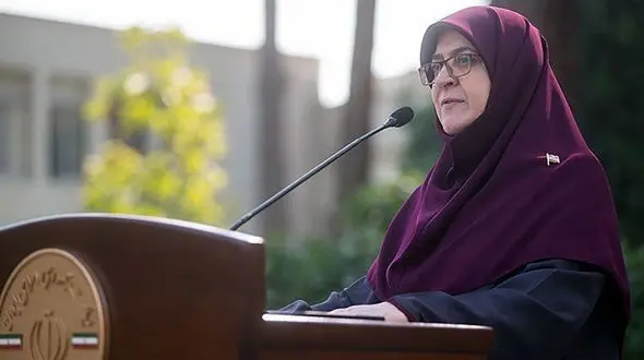 مهاجرانی: مشکل کامیونداران در دولت مطرح شد/ دولت مایل به پرداخت کالا برگ به هفت دهک است