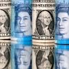 از قیمت دینار عراق تا درهم امارات