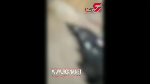 بازداشت عامل انتشار فیلم غسالخانه قم + فیلم وحشتناک