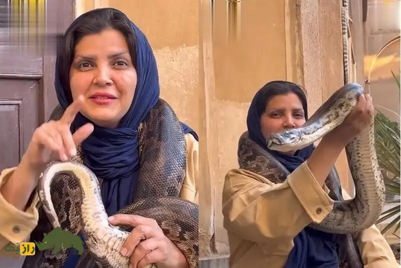 فاطمه نیکوروش