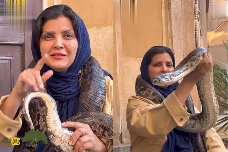 فاطمه نیکوروش