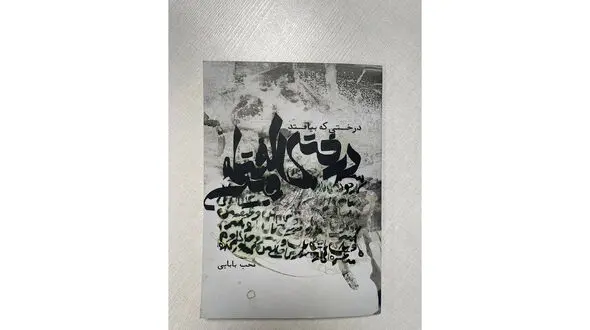 مجموعه شعر محب بابایی منتشر شد 