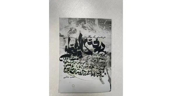مجموعه شعر محب بابایی منتشر شد 