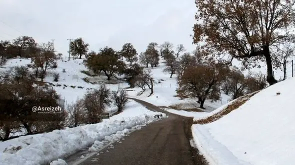 از فلامینگو های دریاچه مهارلو تا منطقه سفید پوش شده بلوط بلند دهدز خوزستان