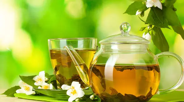 چای سبز؛ گیاه شگفت‌ انگیزی که بدن را از درون درمان می‌ کند