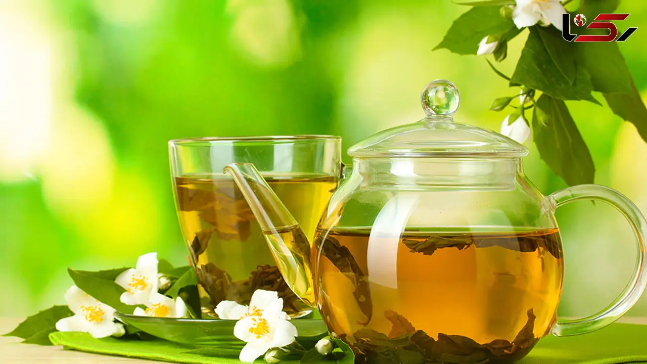 چای سبز؛ گیاه شگفت‌ انگیزی که بدن را از درون درمان می‌ کند
