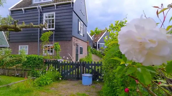 ببینید / نماهنگ بی کلام و انرژی بخش از زیبایی های کشور هلند + فیلم 