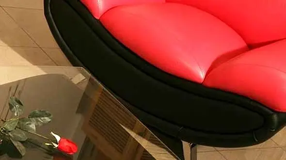 نگهداری از مبل چرمی از نکات مهم هر خانه ایرانی    