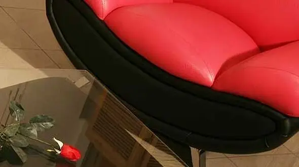نگهداری از مبل چرمی از نکات مهم هر خانه ایرانی    