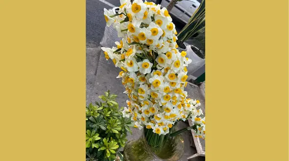 فال حافظ امروز / 8 دی ماه با تفسیر دقیق + فیلم