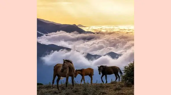 فال روزانه شخصی / 21 خرداد ماه + فیلم