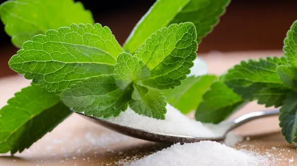  شیوه جدید درمان دیابت با شکربرگ معجزه آسا