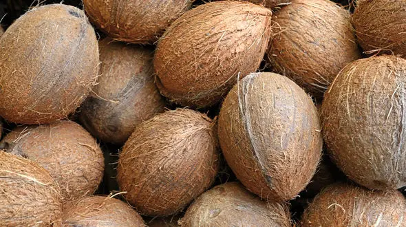 کدام میوه ها کالری بالایی دارند؟