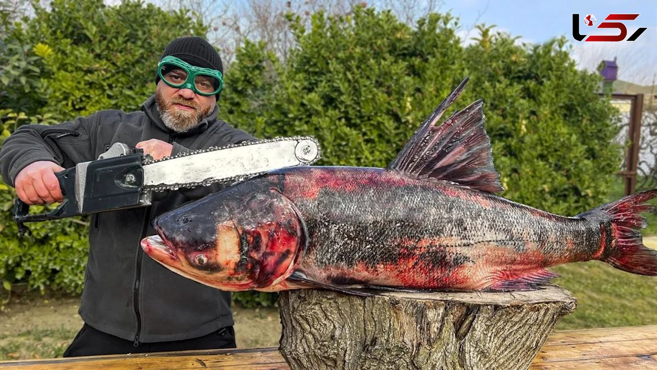 فیلم/ پخت ماهی غول پیکر 13 کیلوگرمی در تنور به سبک آشپز مشهور روسی 