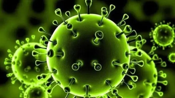 چرا کرونا به ریه‌ها حمله می کند ؟