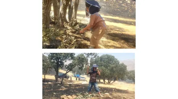 دو کودک خردسال، حافظان کوچک زاگرس در آتش‌سوزی جنگل‌های پاطاق سرپل‌ذهاب
