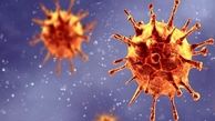 قانعی: نابودی ویروس کرونا در آخرین جهش صحت ندارد