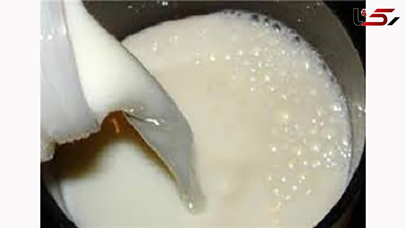معدوم سازی 150 لیتر شیر فاسد در بیجار