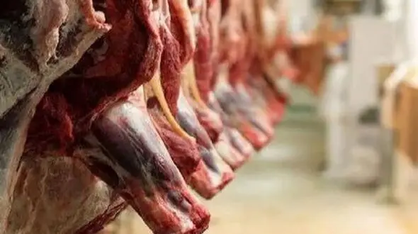 دامپزشکی توزیع 100 هزار کیلو گوشت آلوده را تکذیب کرد