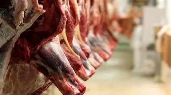 دامپزشکی توزیع 100 هزار کیلو گوشت آلوده را تکذیب کرد