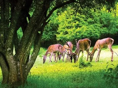 فال و طالع بینی امروز یکم تیر ماه 1405