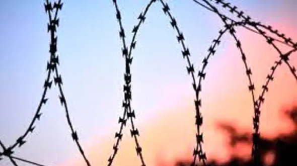 خط تولید سیم خاردار + فیلم