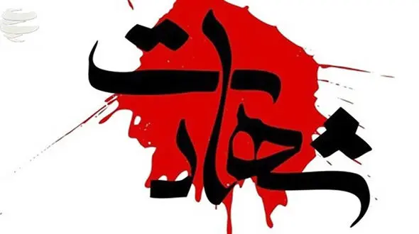 سارق نیسان سوار پلیس مشهد را زیر گرفت / عامل شهادت دستگیر شد