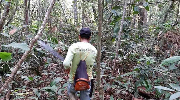 گنجینه ۵ هزارساله‌ای که از مدفوع ساخته شده