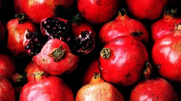 انار بخوریم؛ فراتر از یک میوه پیش از اثبات یک دارو