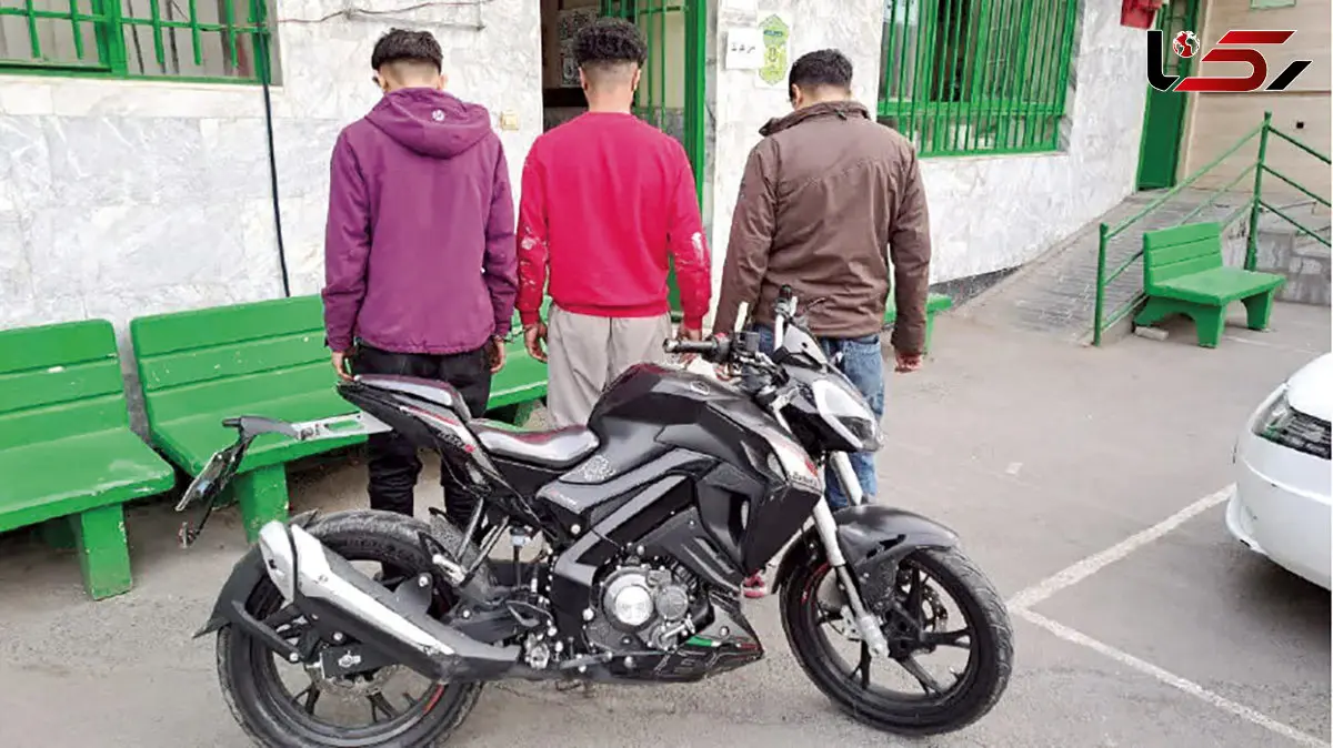 پایان کار باند خطرناک موبوکسوری ها در مشهد