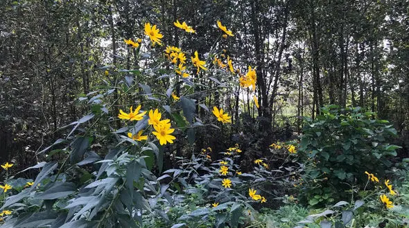 فال ابجد 28 مهر + فیلم