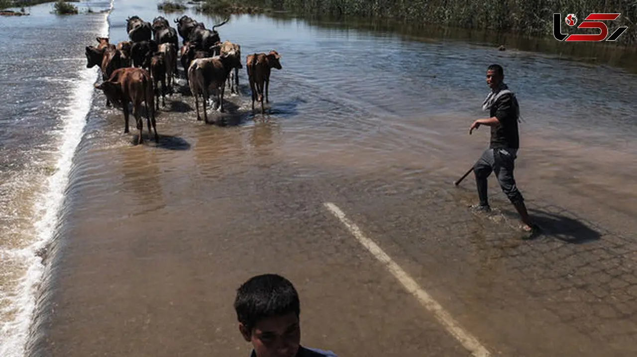 سیل بندها درخوزستان به لرزه افتادند/دسترنج کشاورز درآستانه نابودی