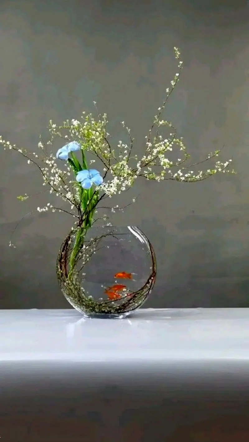 مدل تنگ ماهی هفت سین ۱۴۰۵ | مدل تنگ ماهی مدرن تا فانتزی برای هفت سین ۱۴۰۵ با ایده هایی برای عروس های هنرمند!