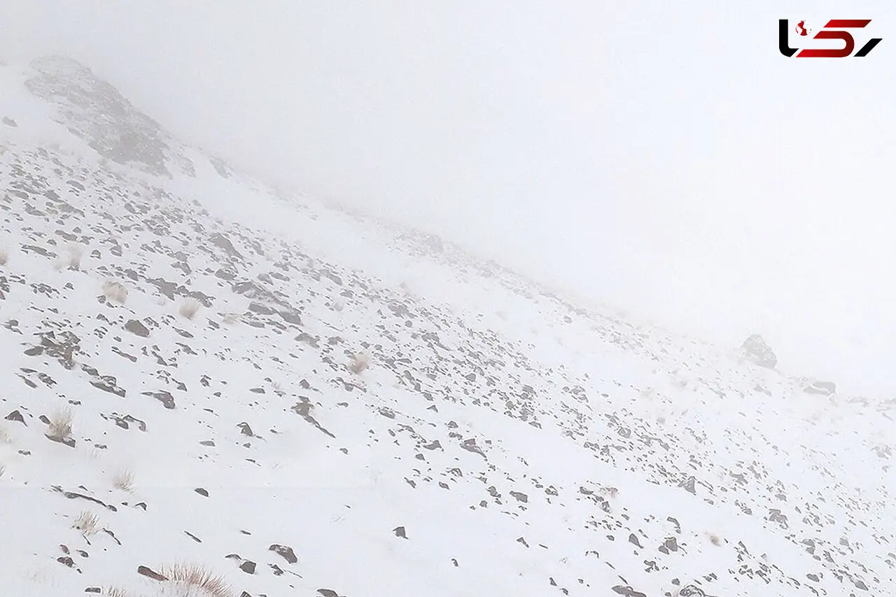 گم شدن 2 امدادگر در محل سقوط هواپیمای تهران-یاسوج 