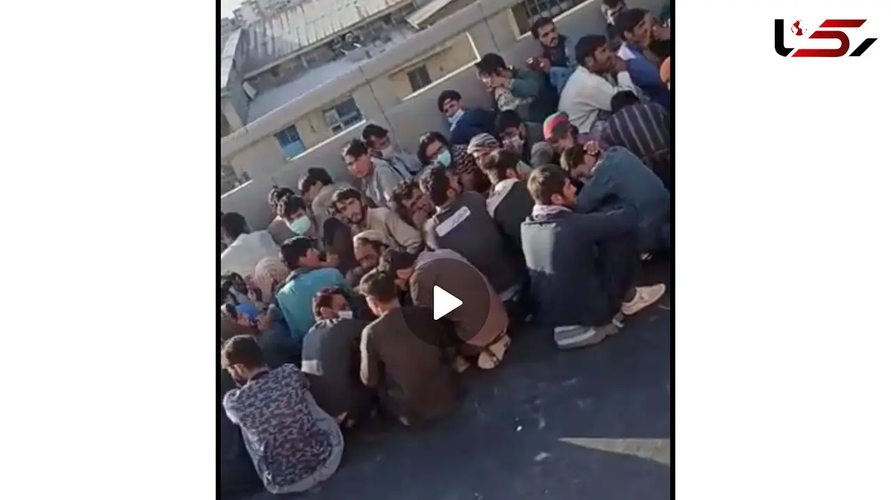پشت پرده فیلم مهاجرت 160 مرد افغان در کرمان 