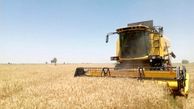 خریداری ۴۳ هزار تن گندم از کشاورزان لرستانی