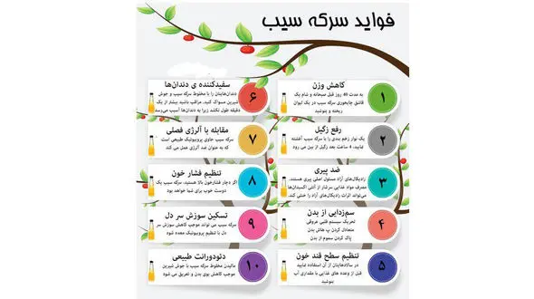 نسخه‌ای خانگی برای پاکسازی بدن + اینفوگرافی