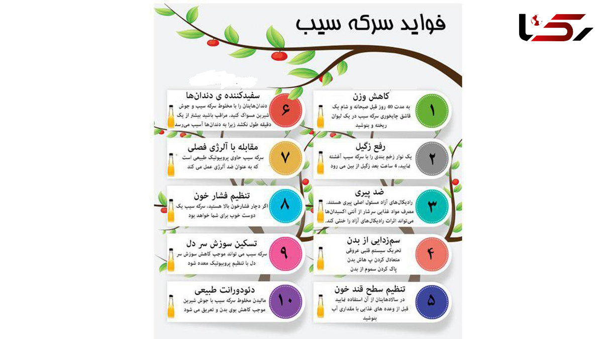 نسخه‌ای خانگی برای پاکسازی بدن + اینفوگرافی