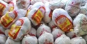 جزئیات و قیمت خرید حمایتی مرغ از تولیدکنندگان اعلام شد