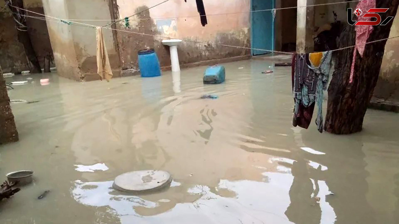 میزان بارش باران در سیستان و بلوچستان از 5 تا 11 اسفند/ شارک ۳۱۹ mm/ احتمال افزایش بارندگی از دوشنبه