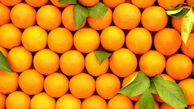 واردات 8 میلیون دلار هلو و پرتقال به کشور!