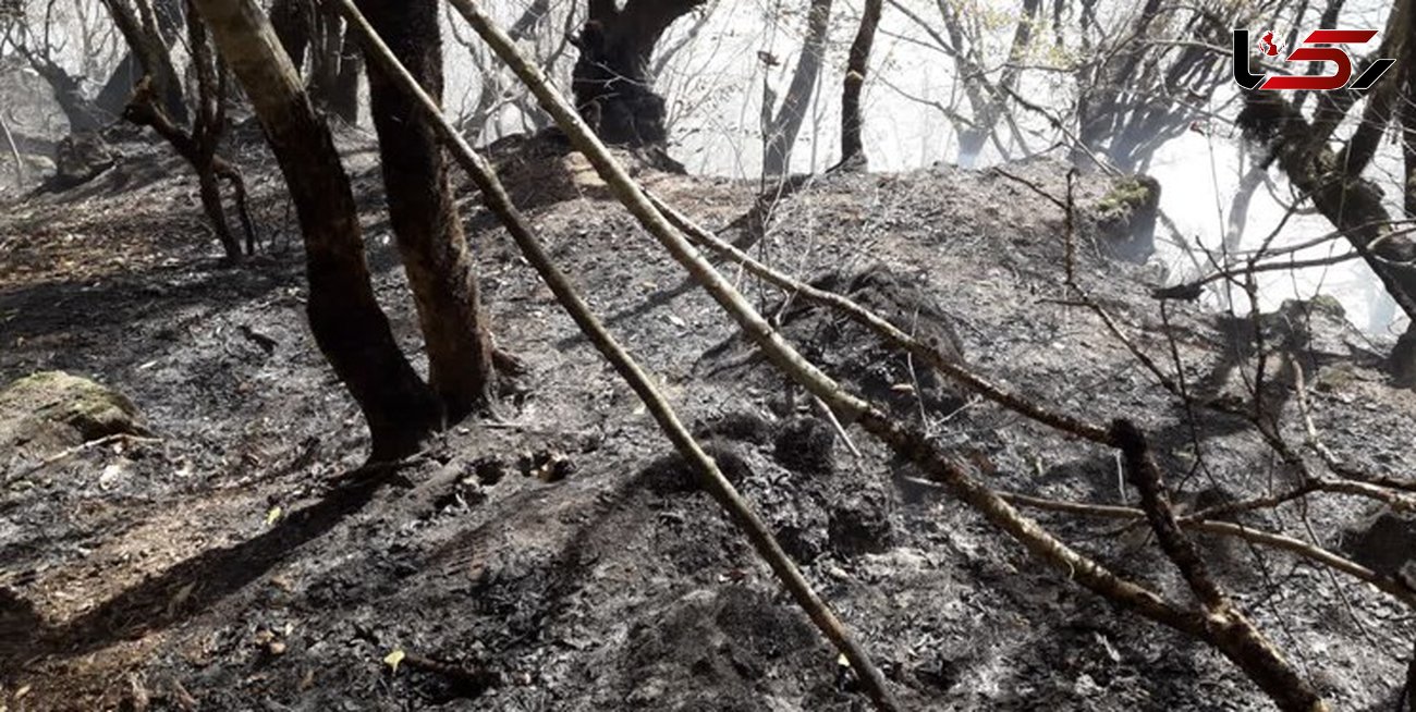  آخرین وضعیت اطفای حریق در جنگل های غرب مازندران + عکس و فیلم 