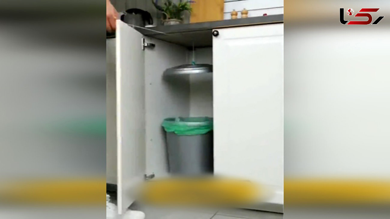 استفاده از سطل آشغال آشپزخانه به شکل متفاوت+ فیلم