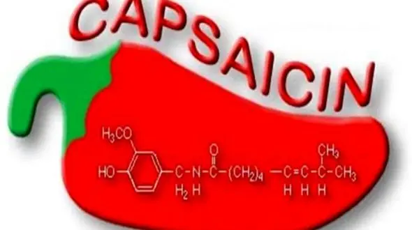 مرگبارترین سرطان دنیا را به زانو درآورید
