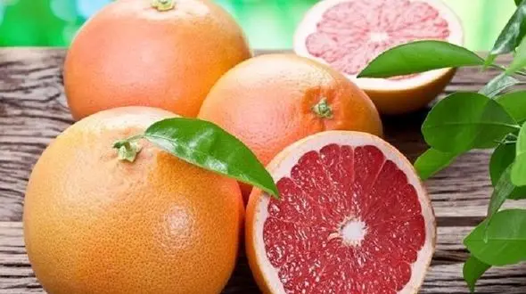 سنگ کلیه را با خوردن این میوه ضربه فنی کنید